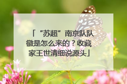 “苏超”南京队队徽是怎么来的？收藏家王世清细说源头