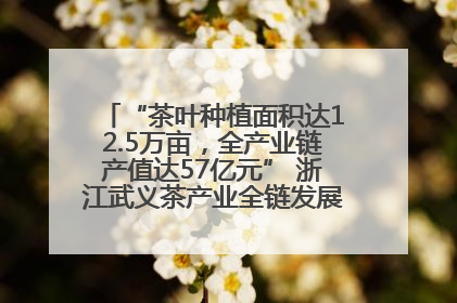 “茶叶种植面积达12.5万亩，全产业链产值达57亿元” 浙江武义茶产业全链发展“加速度”