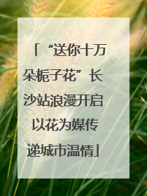 “送你十万朵栀子花”长沙站浪漫开启 以花为媒传递城市温情