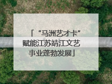“马洲艺才卡”赋能江苏靖江文艺事业蓬勃发展