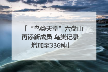 “鸟类天堂”六盘山再添新成员 鸟类记录增加至336种