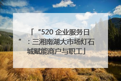 “520 企业服务日”：三湘南湖大市场灯石城赋能商户与职工