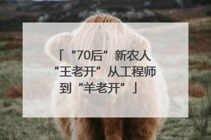 “70后”新农人“王老开”从工程师到“羊老开”