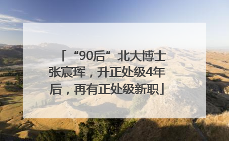 “90后”北大博士张宸珲，升正处级4年后，再有正处级新职