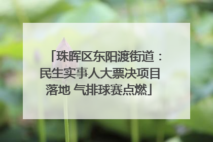 珠晖区东阳渡街道：民生实事人大票决项目落地 气排球赛点燃