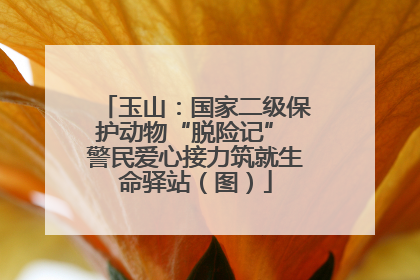 玉山：国家二级保护动物“脱险记” 警民爱心接力筑就生命驿站（图）