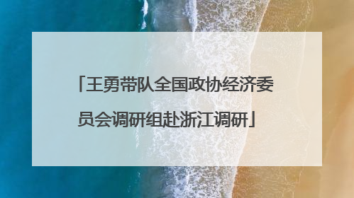 王勇带队全国政协经济委员会调研组赴浙江调研