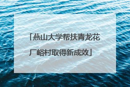 燕山大学帮扶青龙花厂峪村取得新成效
