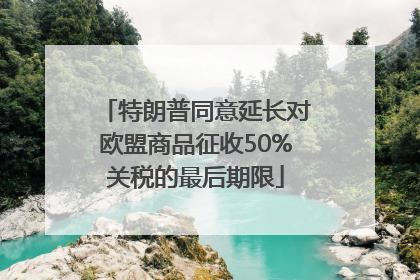 特朗普同意延长对欧盟商品征收50%关税的最后期限