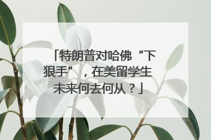 特朗普对哈佛“下狠手”，在美留学生未来何去何从？