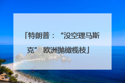 特朗普：“没空理马斯克” 欧洲抛橄榄枝