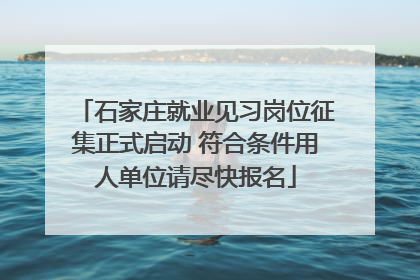 石家庄就业见习岗位征集正式启动 符合条件用人单位请尽快报名