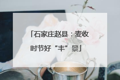 石家庄赵县：麦收时节好“丰”景