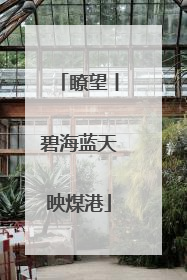 瞭望丨碧海蓝天映煤港