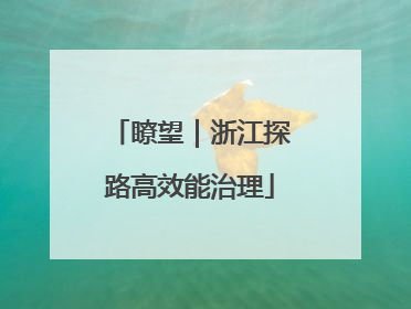 瞭望｜浙江探路高效能治理