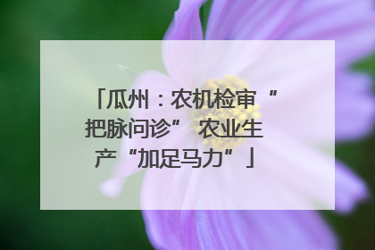 瓜州：农机检审“把脉问诊” 农业生产“加足马力”