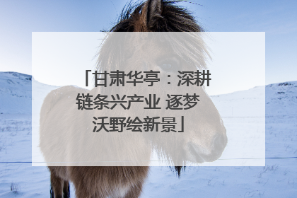 甘肃华亭：深耕链条兴产业 逐梦沃野绘新景