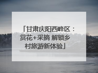 甘肃庆阳西峰区：赏花+采摘 解锁乡村旅游新体验