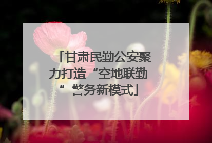 甘肃民勤公安聚力打造“空地联勤”警务新模式
