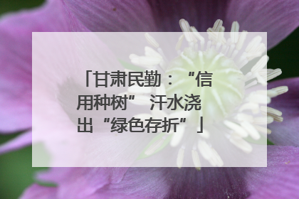 甘肃民勤：“信用种树” 汗水浇出“绿色存折”