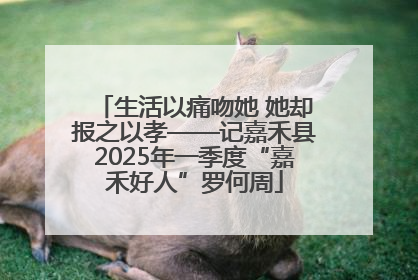 生活以痛吻她 她却报之以孝——记嘉禾县2025年一季度“嘉禾好人”罗何周