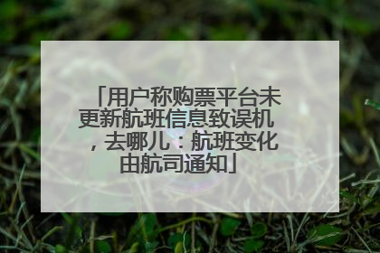 用户称购票平台未更新航班信息致误机，去哪儿：航班变化由航司通知