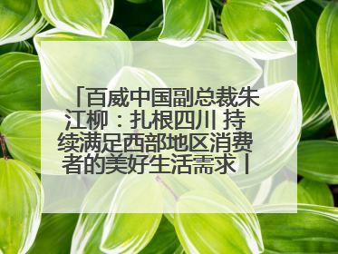 百威中国副总裁朱江柳：扎根四川 持续满足西部地区消费者的美好生活需求丨西望四川