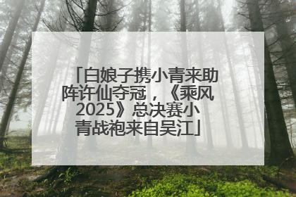 白娘子携小青来助阵许仙夺冠，《乘风2025》总决赛小青战袍来自吴江