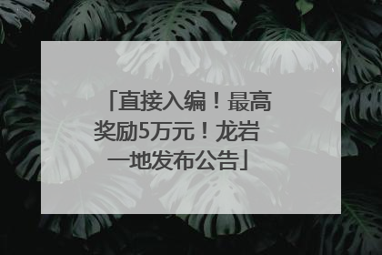 直接入编！最高奖励5万元！龙岩一地发布公告