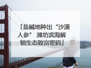 盐碱地种出“沙漠人参” 潍坊滨海解锁生态致富密码
