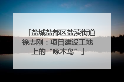 盐城盐都区盐渎街道徐志刚：项目建设工地上的“啄木鸟”