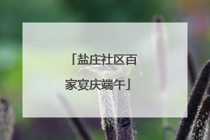 盐庄社区百家宴庆端午