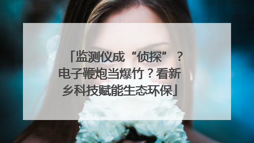 监测仪成“侦探”？电子鞭炮当爆竹？看新乡科技赋能生态环保