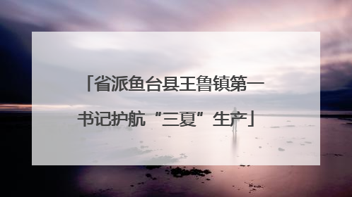 省派鱼台县王鲁镇第一书记护航“三夏”生产