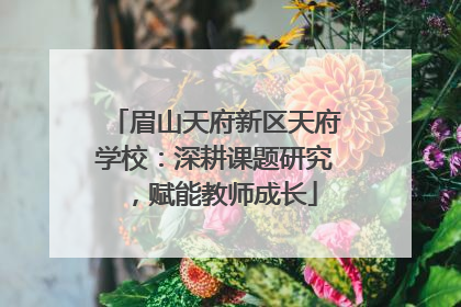 眉山天府新区天府学校：深耕课题研究，赋能教师成长
