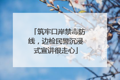 筑牢口岸禁毒防线，边检民警沉浸式宣讲很走心