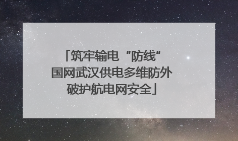 筑牢输电“防线” 国网武汉供电多维防外破护航电网安全
