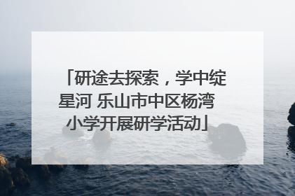研途去探索，学中绽星河 乐山市中区杨湾小学开展研学活动