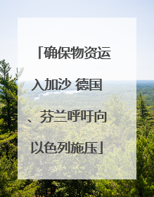 确保物资运入加沙 德国、芬兰呼吁向以色列施压