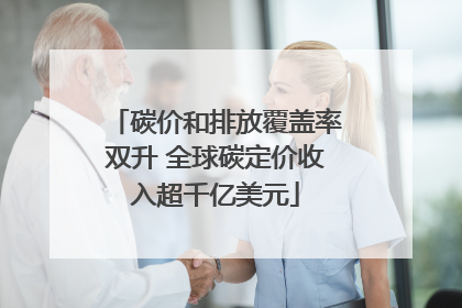 碳价和排放覆盖率双升 全球碳定价收入超千亿美元