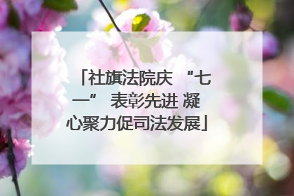社旗法院庆 “七一” 表彰先进 凝心聚力促司法发展