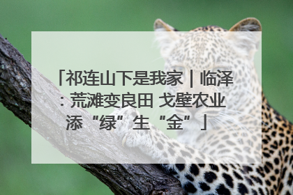 祁连山下是我家｜临泽：荒滩变良田 戈壁农业添“绿”生“金”