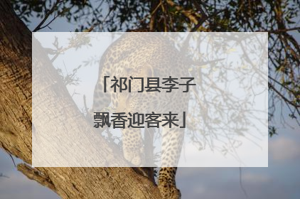 祁门县李子飘香迎客来