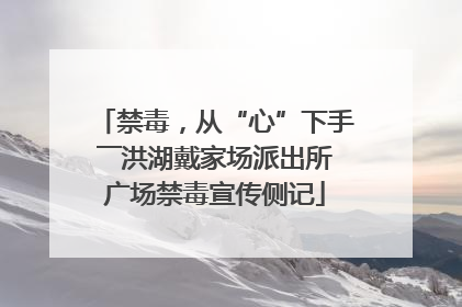 禁毒，从“心”下手――洪湖戴家场派出所广场禁毒宣传侧记