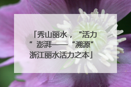 秀山丽水，“活力”澎湃——“溯源”浙江丽水活力之本
