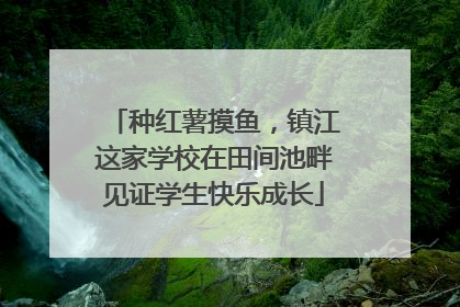 种红薯摸鱼，镇江这家学校在田间池畔见证学生快乐成长