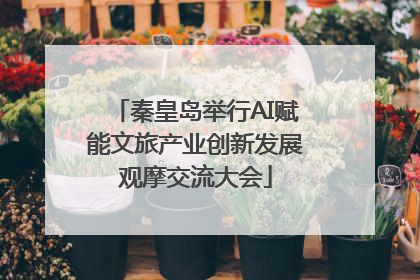 秦皇岛举行AI赋能文旅产业创新发展观摩交流大会
