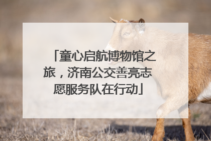 童心启航博物馆之旅，济南公交善亮志愿服务队在行动