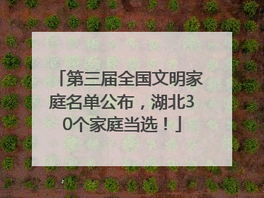 第三届全国文明家庭名单公布，湖北30个家庭当选！
