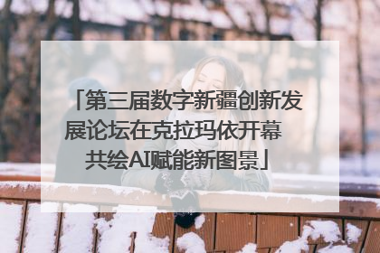 第三届数字新疆创新发展论坛在克拉玛依开幕 共绘AI赋能新图景